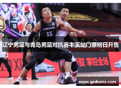 辽宁男篮与青岛男篮对抗赛本溪站门票明日开售